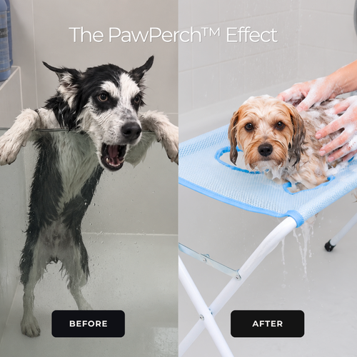 PawPerch™ Grooming Stand