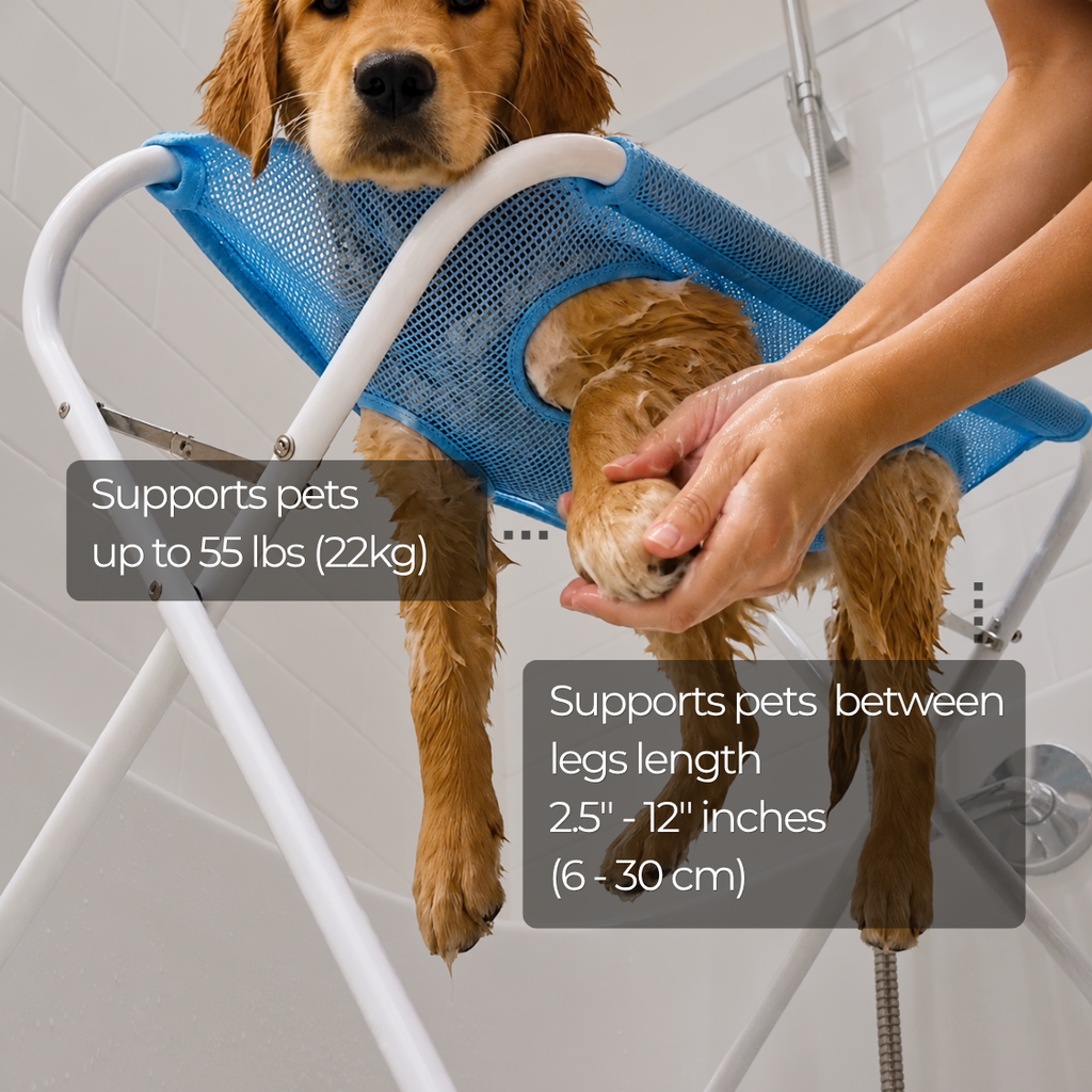 PawPerch™ Grooming Stand