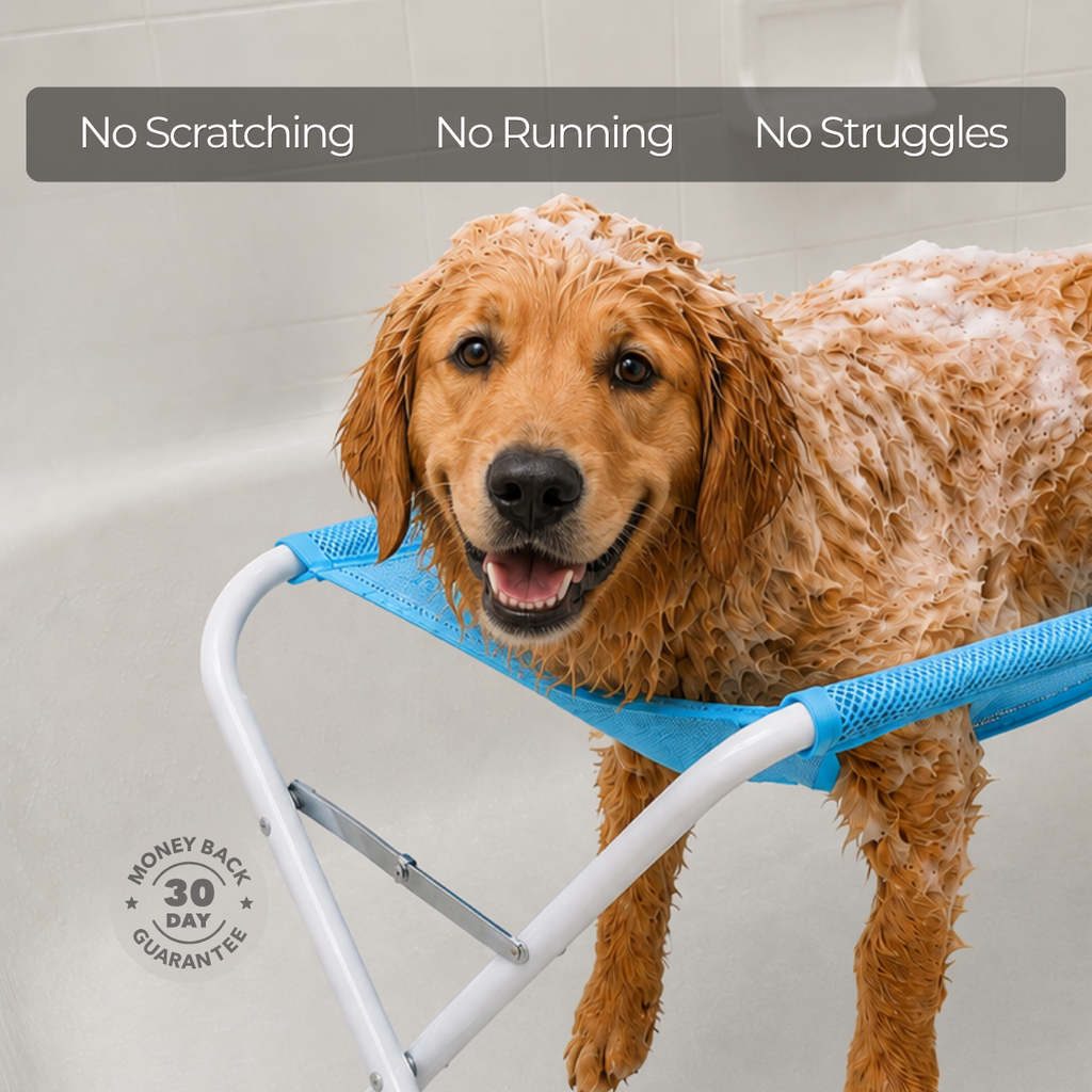 PawPerch™ Grooming Stand
