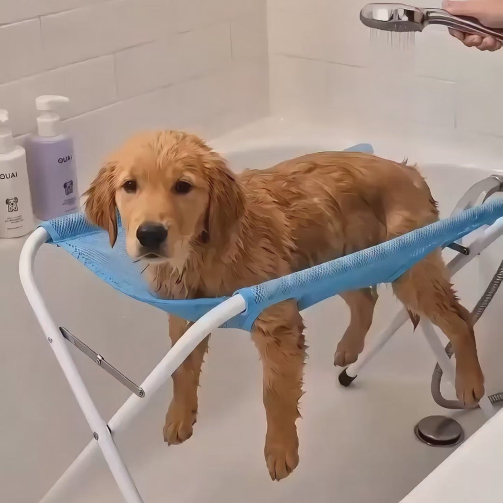 PawPerch™ Grooming Stand